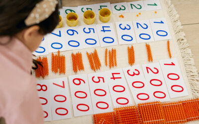 The Importance of Project-Based Learning in Elementary Classrooms