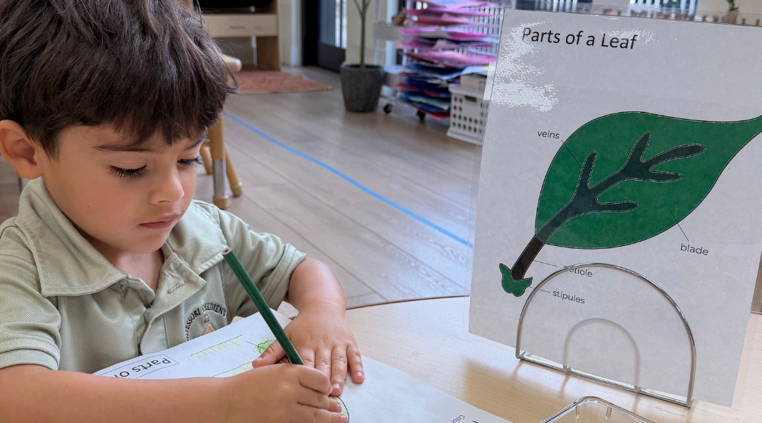a child painting