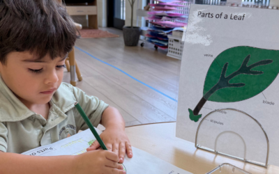 20+ Signs Your Child Is Ready for Preschool (Beyond Age)