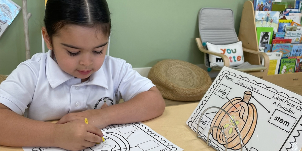 Real-World Skills Children Develop During the Work Cycle